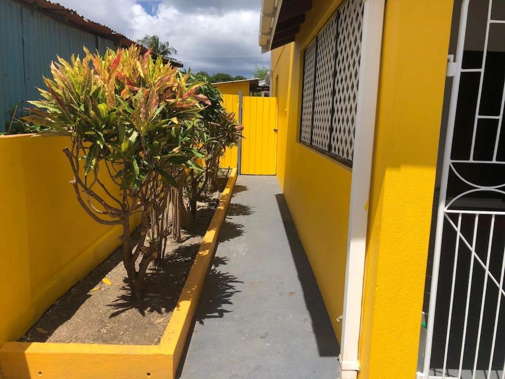 فيلا Donamae 2 Story Barbados House بريدج تاون المظهر الخارجي الصورة