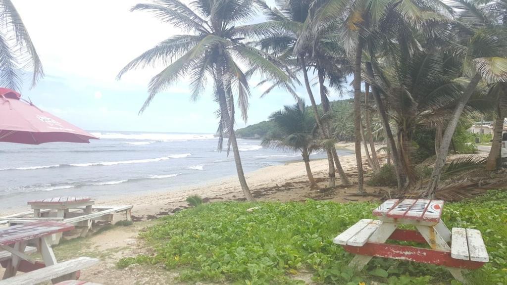 فيلا Donamae 2 Story Barbados House بريدج تاون المظهر الخارجي الصورة